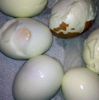 Pourquoi le blanc de l’œuf colle-t-il à la coquille